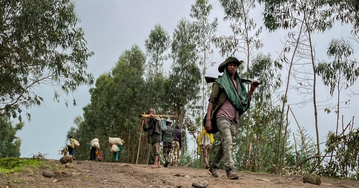 Conflict In Ethiopia's Amhara Region Kills Dozens, Rights Body Says